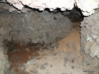 ova Gussonea-23-10-2012 11-42-00